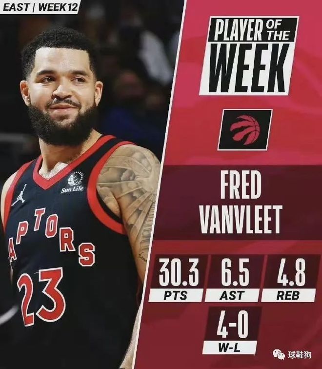 共同构成了 共同构成了