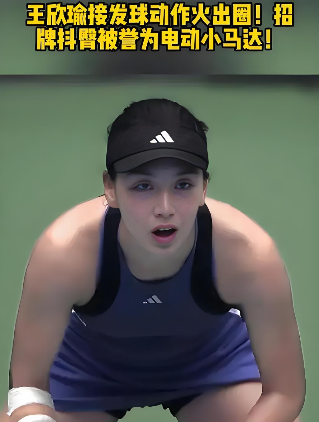 这不仅使鹈 这不仅使鹈