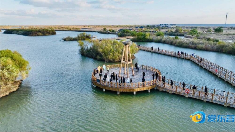 次数屈指可 次数屈指可