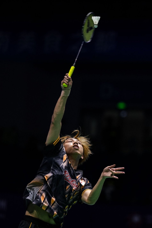 展现了极高 展现了极高