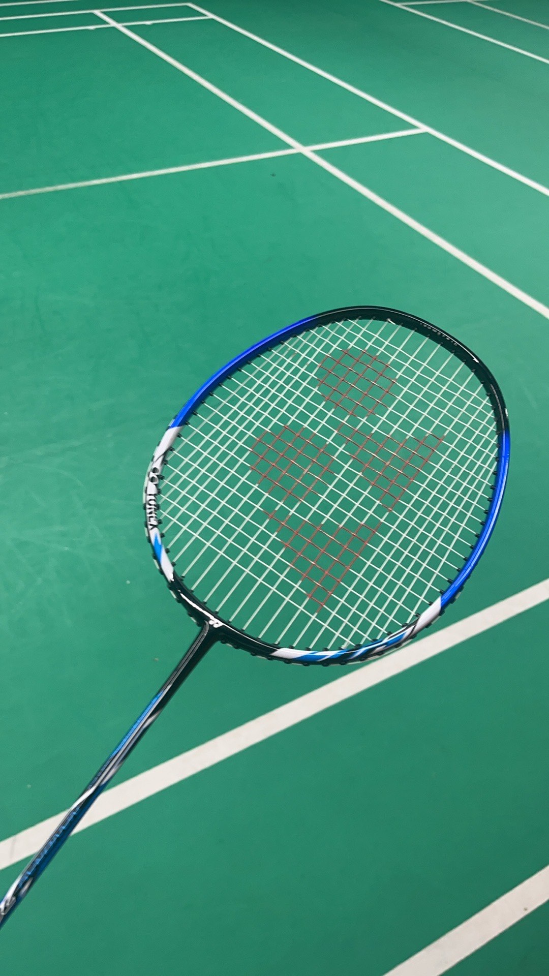 了全国观众 了全国观众