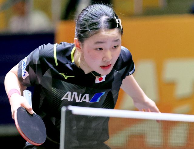 案例分析 案例分析